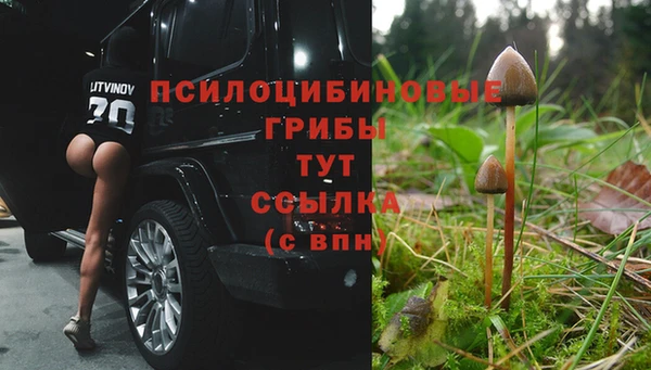 меф Зеленодольск