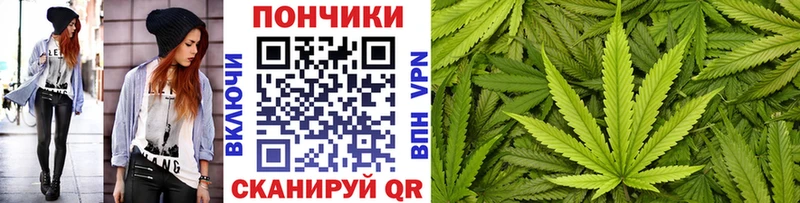 Купить закладки  Пудож  Каннабис Ganja 